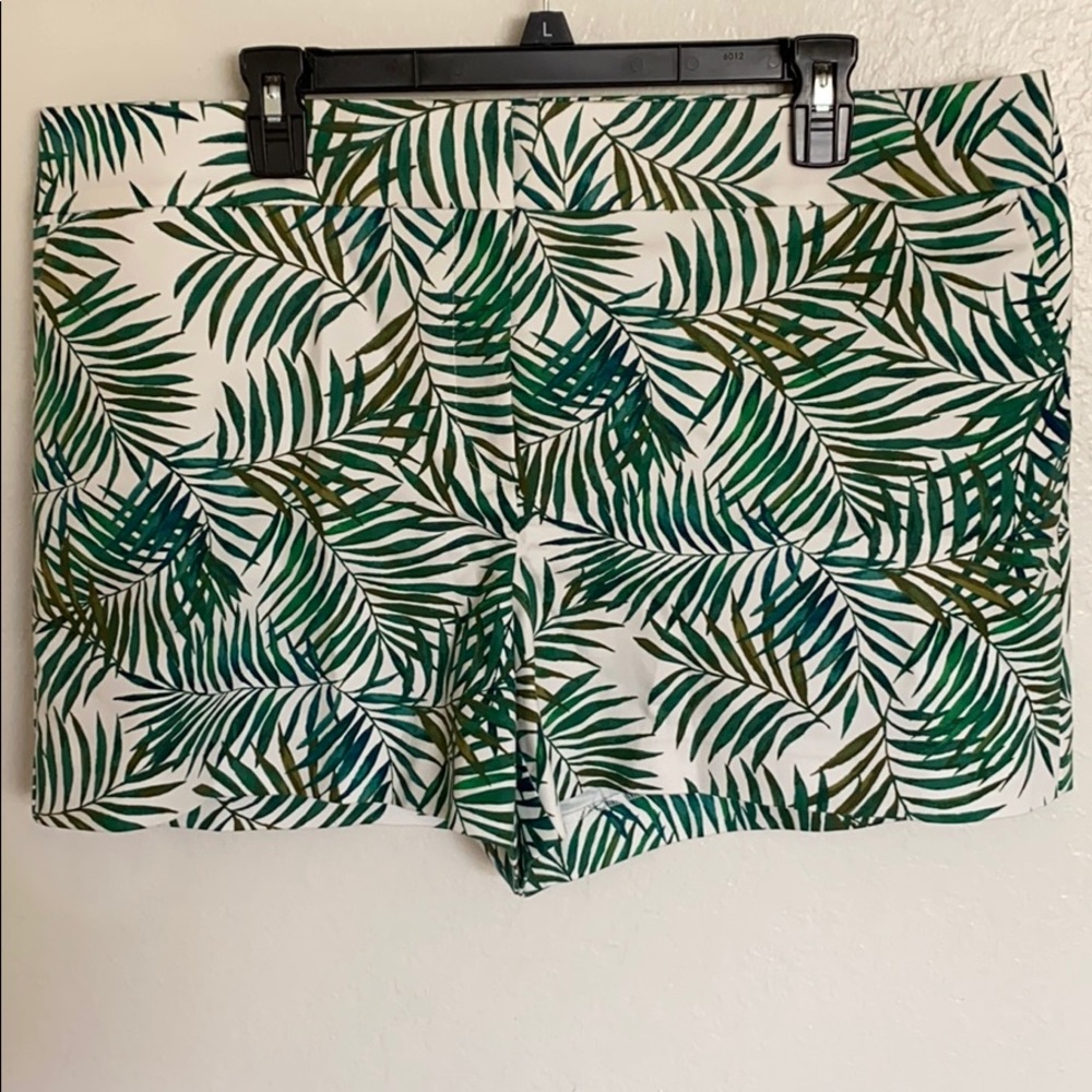 LOFT Riviera shorts NWT
